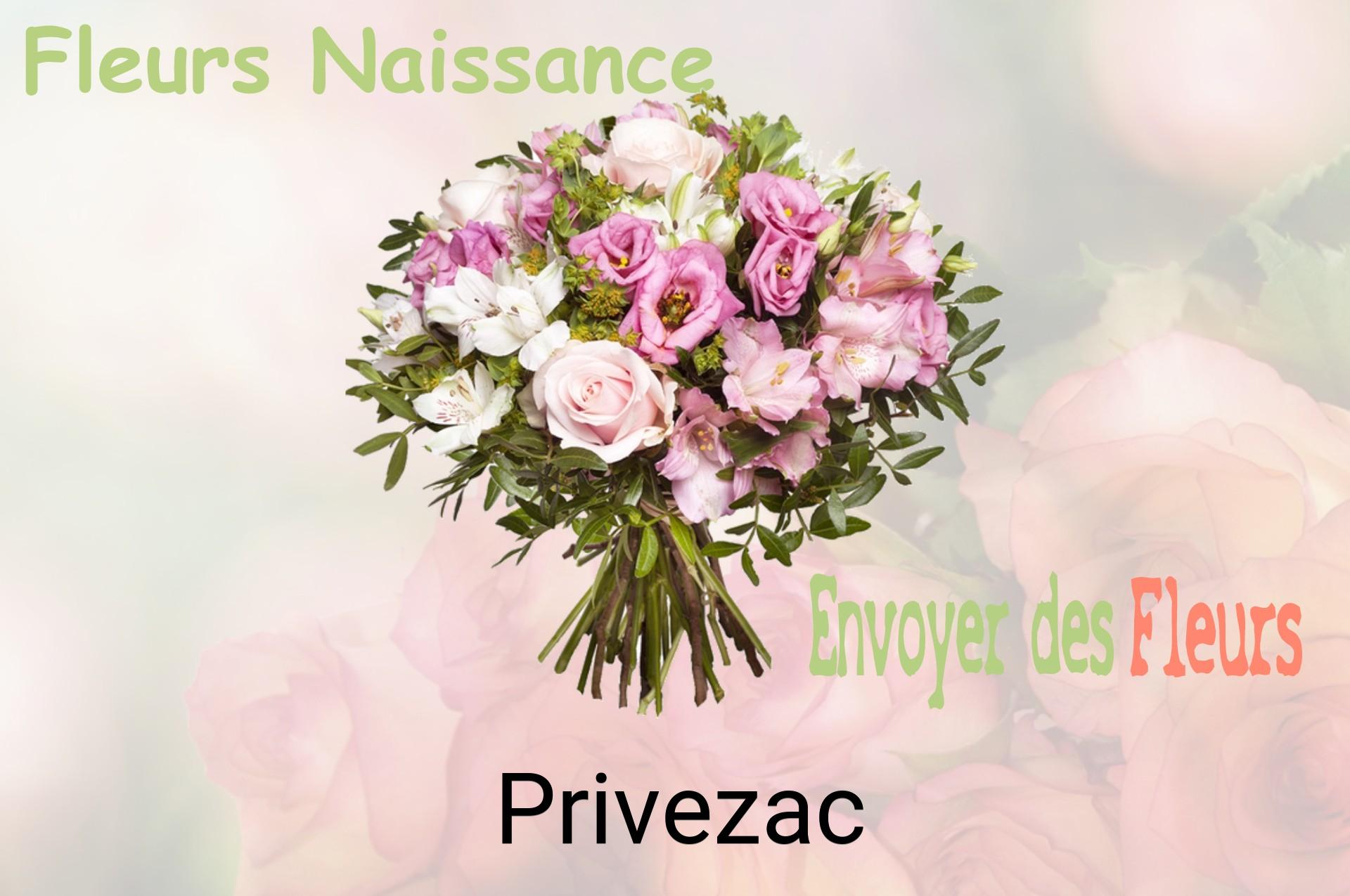 Bouquet de fleurs de naissance livré à Privezac